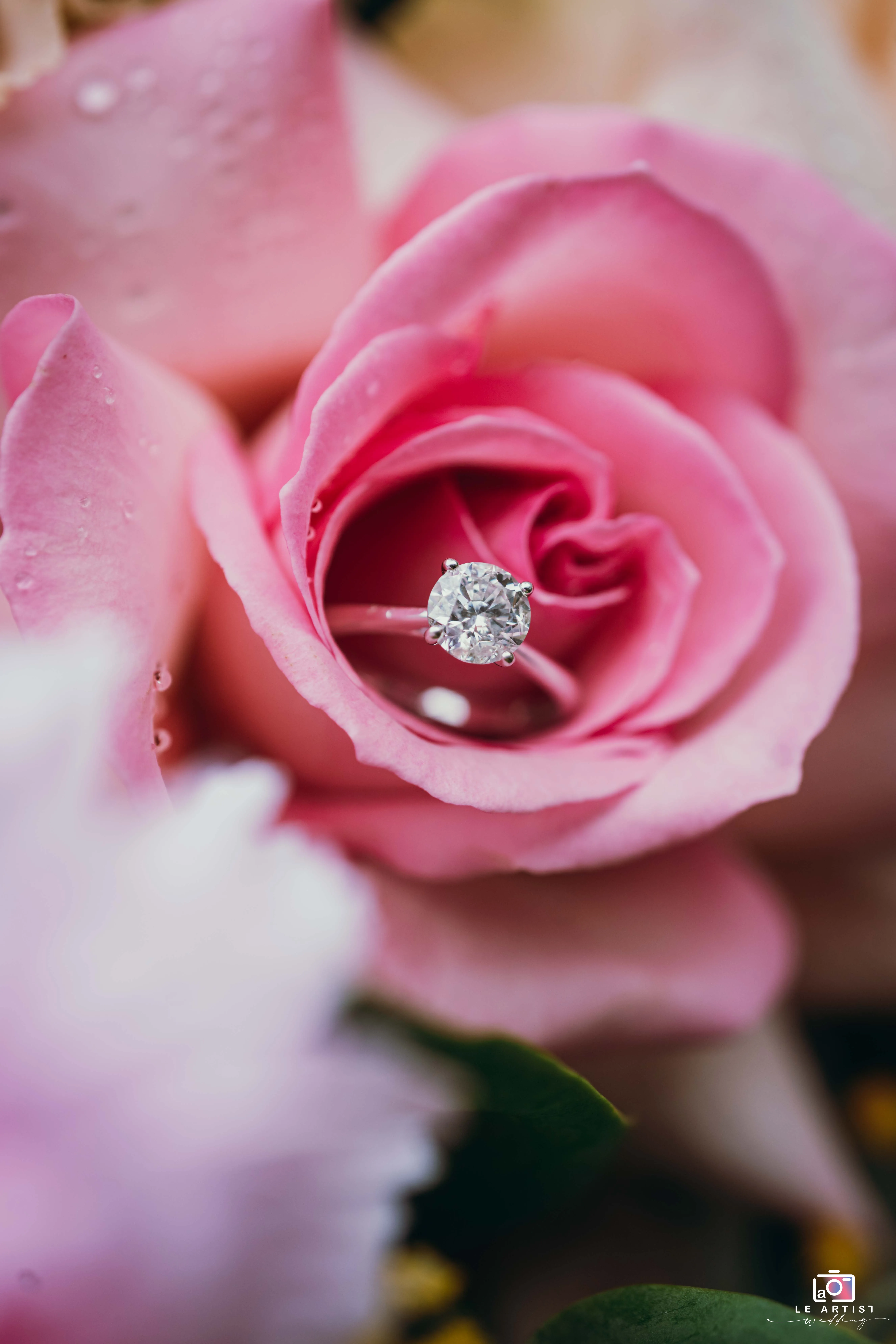 A stunning engagement ring elegantly nestled within the petals of a vibrant pink rose, highlighting the beauty and promise of forever. Le Artist Wedding